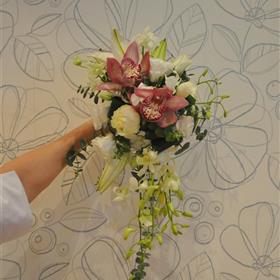 fwthumbWedding fair 001.jpg